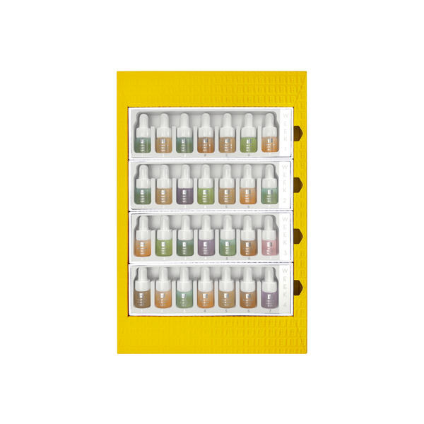 PERFECTING ILLUMINATION 4-WEEK SKIN WELLNESS PLAN